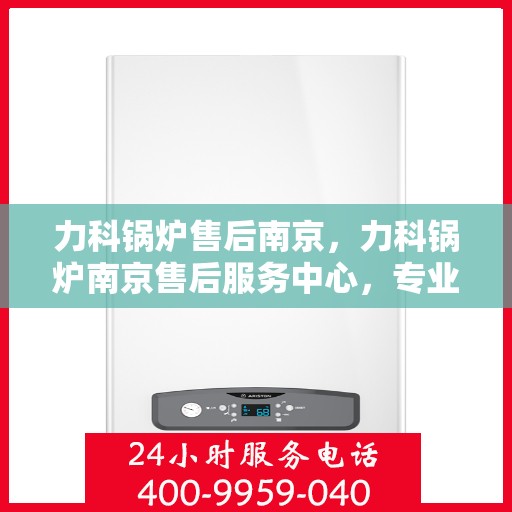 力科锅炉售后南京，力科锅炉南京售后服务中心，专业维修，贴心服务