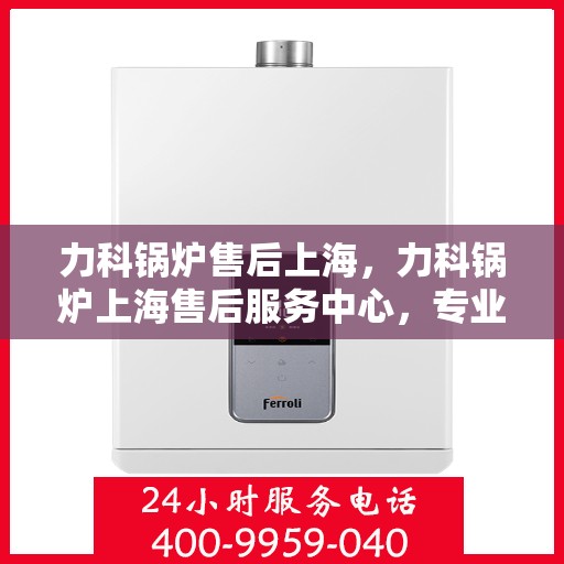 力科锅炉售后上海，力科锅炉上海售后服务中心，专业维修与贴心服务