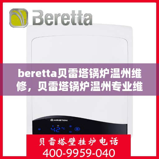 beretta贝雷塔锅炉温州维修，贝雷塔锅炉温州专业维修服务