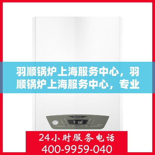 羽顺锅炉上海服务中心，羽顺锅炉上海服务中心，专业维护与高效服务之选