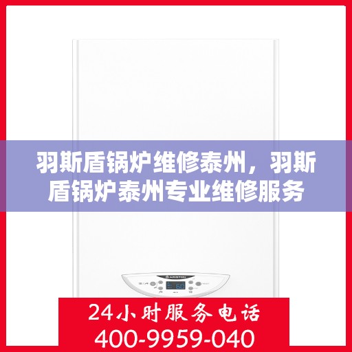 羽斯盾锅炉维修泰州，羽斯盾锅炉泰州专业维修服务