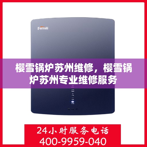 樱雪锅炉苏州维修，樱雪锅炉苏州专业维修服务