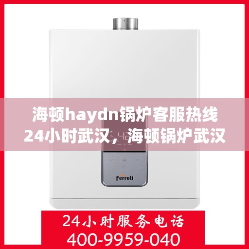 海顿haydn锅炉客服热线24小时武汉，海顿锅炉武汉客服热线全天候为您服务