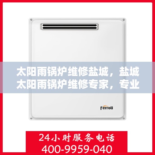 太阳雨锅炉维修盐城，盐城太阳雨锅炉维修专家，专业应对天气变化下的锅炉维护与修理