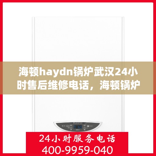 海顿haydn锅炉武汉24小时售后维修电话，海顿锅炉武汉全天候售后维修热线