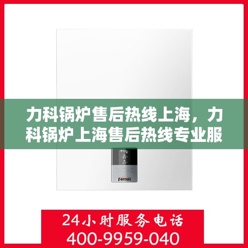 力科锅炉售后热线上海，力科锅炉上海售后热线专业服务，贴心保障
