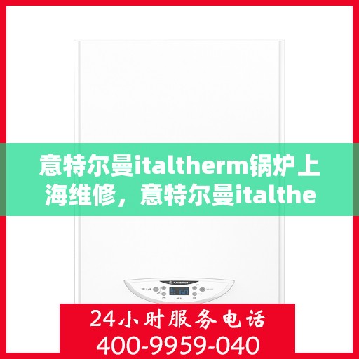 意特尔曼italtherm锅炉上海维修，意特尔曼italtherm锅炉上海专业维修服务