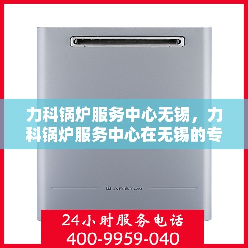 力科锅炉服务中心无锡，力科锅炉服务中心在无锡的专业服务