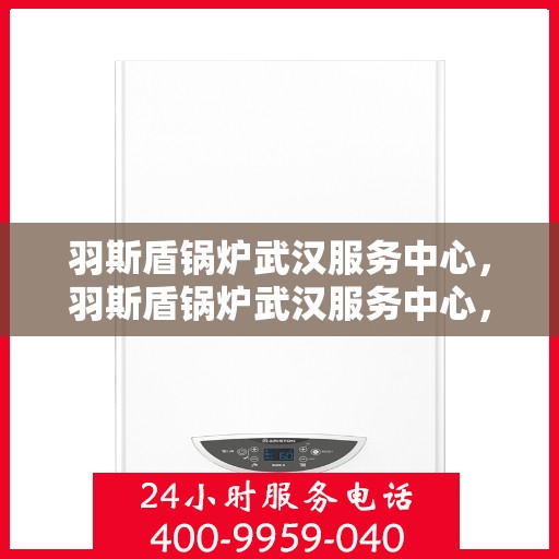 羽斯盾锅炉武汉服务中心，羽斯盾锅炉武汉服务中心，专业维护与高效运行的保障