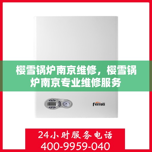 樱雪锅炉南京维修，樱雪锅炉南京专业维修服务