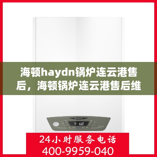 海顿haydn锅炉连云港售后，海顿锅炉连云港售后维修专业服务