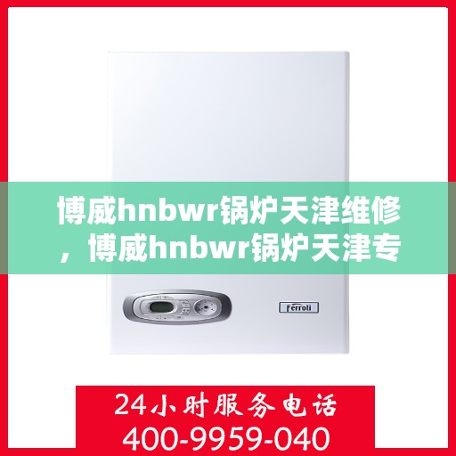 博威hnbwr锅炉天津维修，博威hnbwr锅炉天津专业维修服务