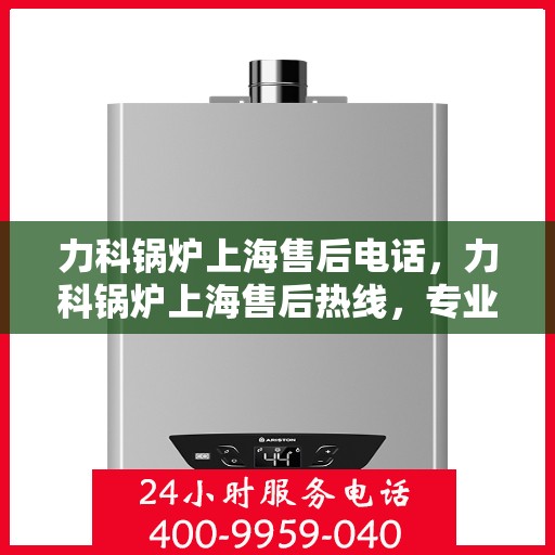 力科锅炉上海售后电话，力科锅炉上海售后热线，专业维修与服务的联系方式