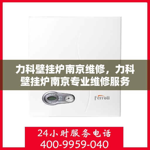 力科壁挂炉南京维修，力科壁挂炉南京专业维修服务