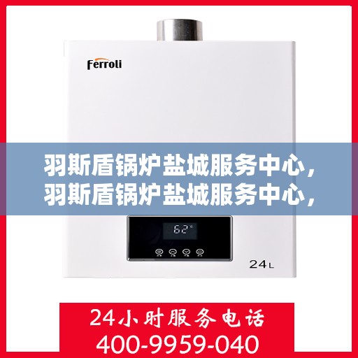 羽斯盾锅炉盐城服务中心，羽斯盾锅炉盐城服务中心，专业维修与优质服务并行