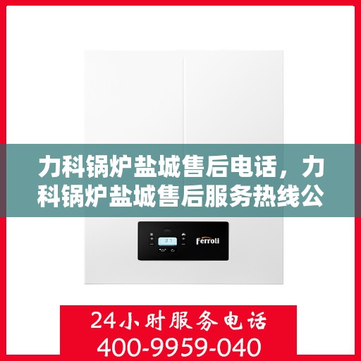 力科锅炉盐城售后电话，力科锅炉盐城售后服务热线公布，专业维修联系电话！