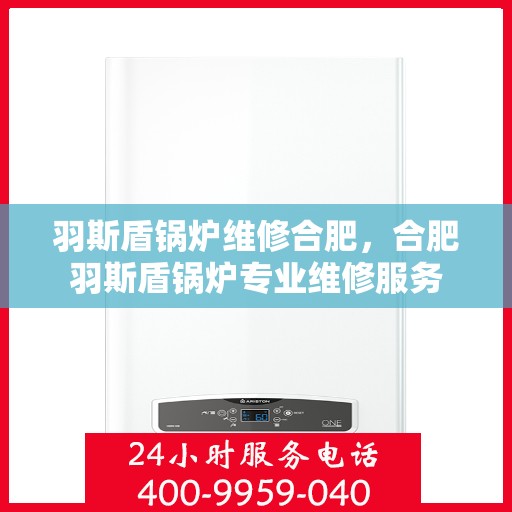 羽斯盾锅炉维修合肥，合肥羽斯盾锅炉专业维修服务