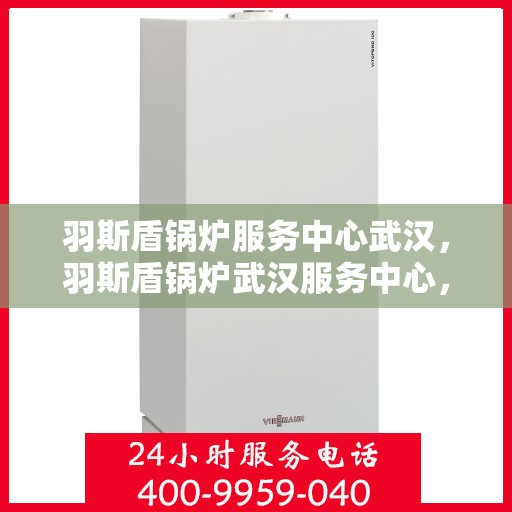 羽斯盾锅炉服务中心武汉，羽斯盾锅炉武汉服务中心，专业维护，安心供热