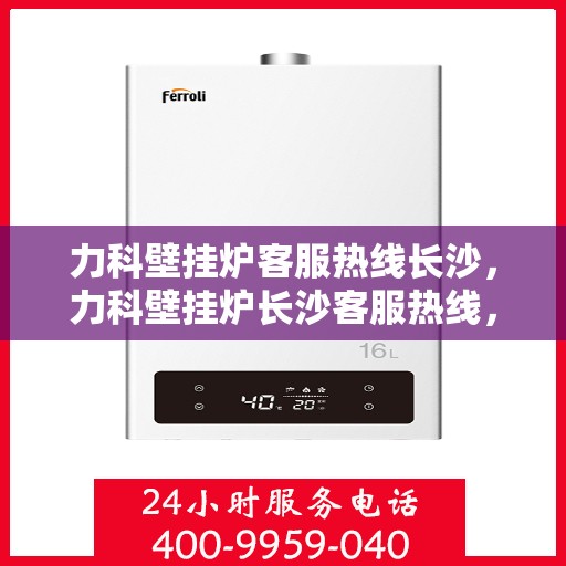 力科壁挂炉客服热线长沙，力科壁挂炉长沙客服热线，专业解答，温暖您的家