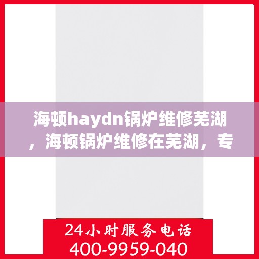 海顿haydn锅炉维修芜湖，海顿锅炉维修在芜湖，专业团队解决您的锅炉问题
