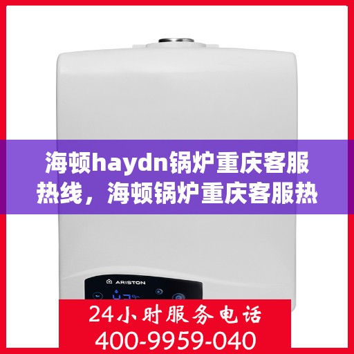 海顿haydn锅炉重庆客服热线，海顿锅炉重庆客服热线，专业支持与解决方案一站式服务