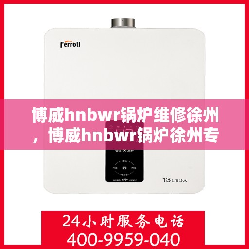 博威hnbwr锅炉维修徐州，博威hnbwr锅炉徐州专业维修团队