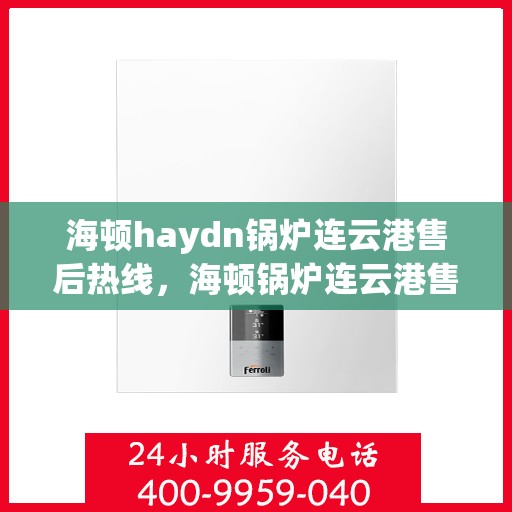 海顿haydn锅炉连云港售后热线，海顿锅炉连云港售后热线，专业维修与技术支持团队为您服务