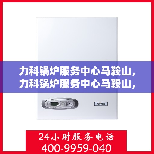 力科锅炉服务中心马鞍山，力科锅炉服务中心马鞍山，专业服务，质量至上