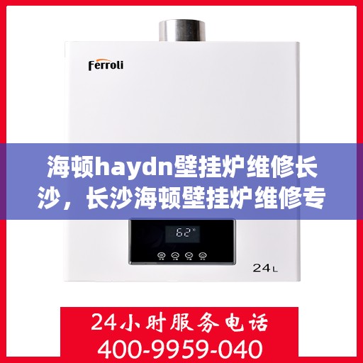 海顿haydn壁挂炉维修长沙，长沙海顿壁挂炉维修专家解析与指南