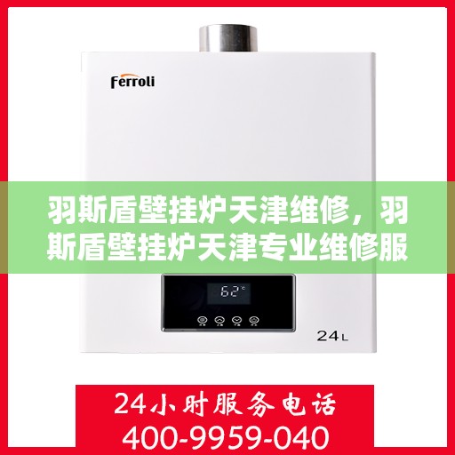 羽斯盾壁挂炉天津维修，羽斯盾壁挂炉天津专业维修服务