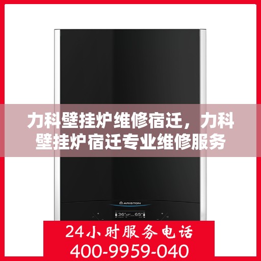 力科壁挂炉维修宿迁，力科壁挂炉宿迁专业维修服务