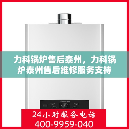 力科锅炉售后泰州，力科锅炉泰州售后维修服务支持