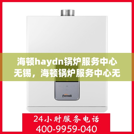 海顿haydn锅炉服务中心无锡，海顿锅炉服务中心无锡，专业维修与高效服务保障