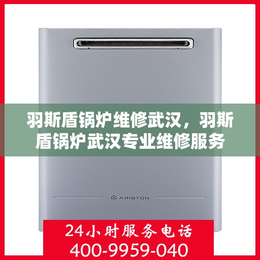 羽斯盾锅炉维修武汉，羽斯盾锅炉武汉专业维修服务