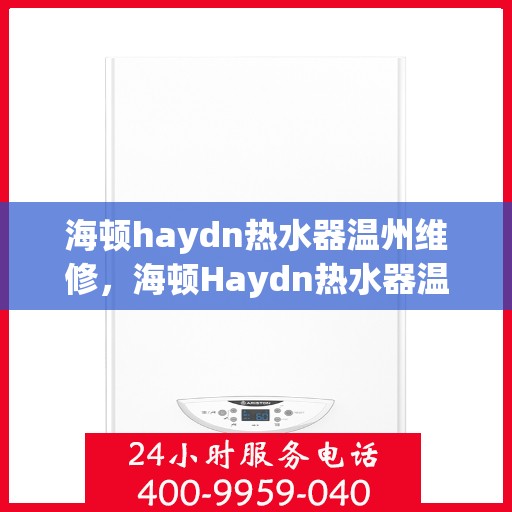 海顿haydn热水器温州维修，海顿Haydn热水器温州专业维修服务