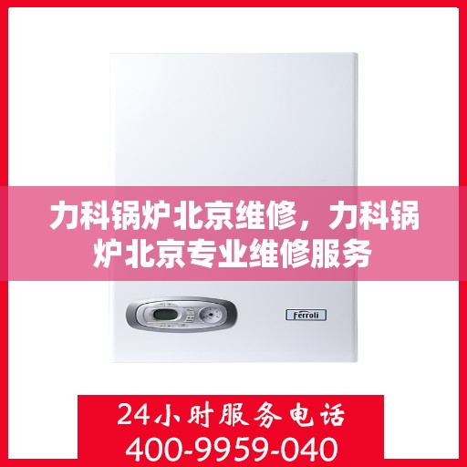 力科锅炉北京维修，力科锅炉北京专业维修服务