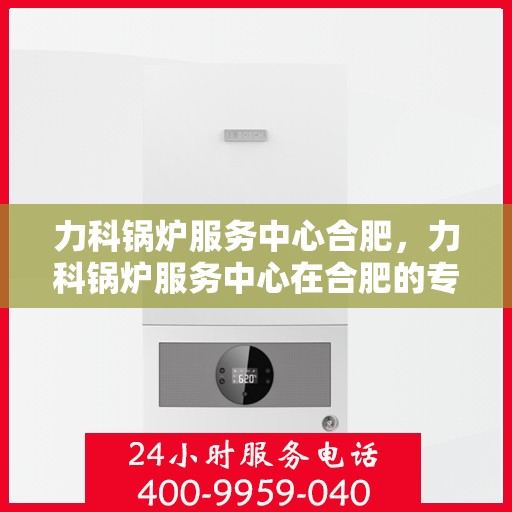 力科锅炉服务中心合肥，力科锅炉服务中心在合肥的专业服务之旅