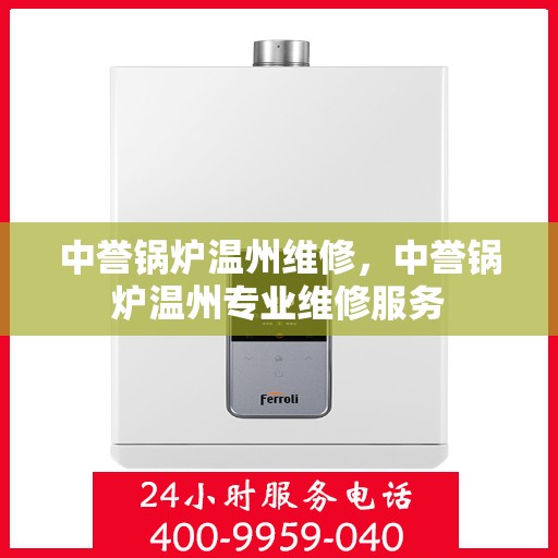 中誉锅炉温州维修，中誉锅炉温州专业维修服务