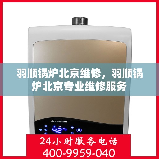 羽顺锅炉北京维修，羽顺锅炉北京专业维修服务