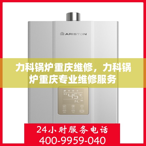 力科锅炉重庆维修，力科锅炉重庆专业维修服务