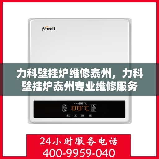 力科壁挂炉维修泰州，力科壁挂炉泰州专业维修服务