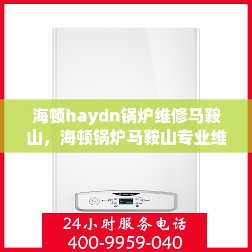 海顿haydn锅炉维修马鞍山，海顿锅炉马鞍山专业维修服务