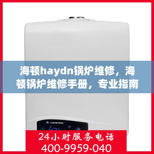 海顿haydn锅炉维修，海顿锅炉维修手册，专业指南与技巧