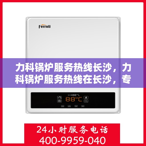 力科锅炉服务热线长沙，力科锅炉服务热线在长沙，专业维修与支持