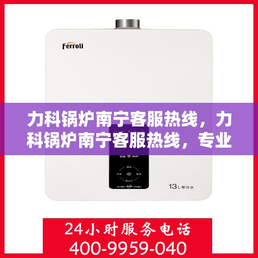 力科锅炉南宁客服热线，力科锅炉南宁客服热线，专业支持与解决方案一站式服务