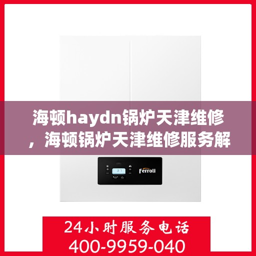海顿haydn锅炉天津维修，海顿锅炉天津维修服务解析