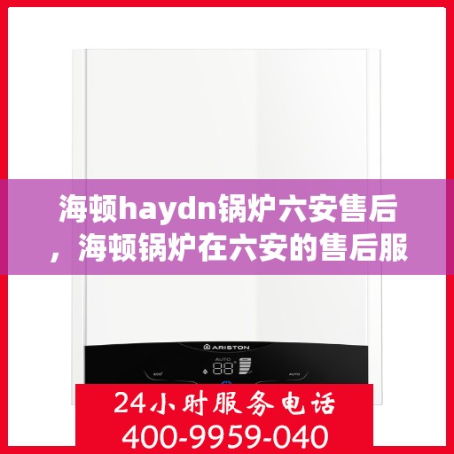 海顿haydn锅炉六安售后，海顿锅炉在六安的售后服务支持