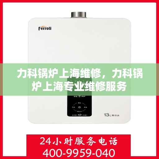 力科锅炉上海维修，力科锅炉上海专业维修服务