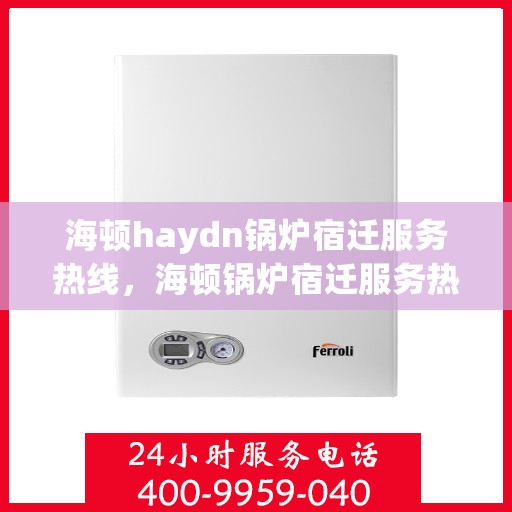 海顿haydn锅炉宿迁服务热线，海顿锅炉宿迁服务热线，专业团队为您提供全方位技术支持与售后保障