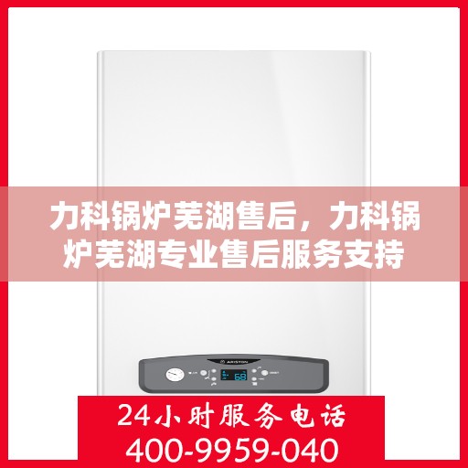 力科锅炉芜湖售后，力科锅炉芜湖专业售后服务支持